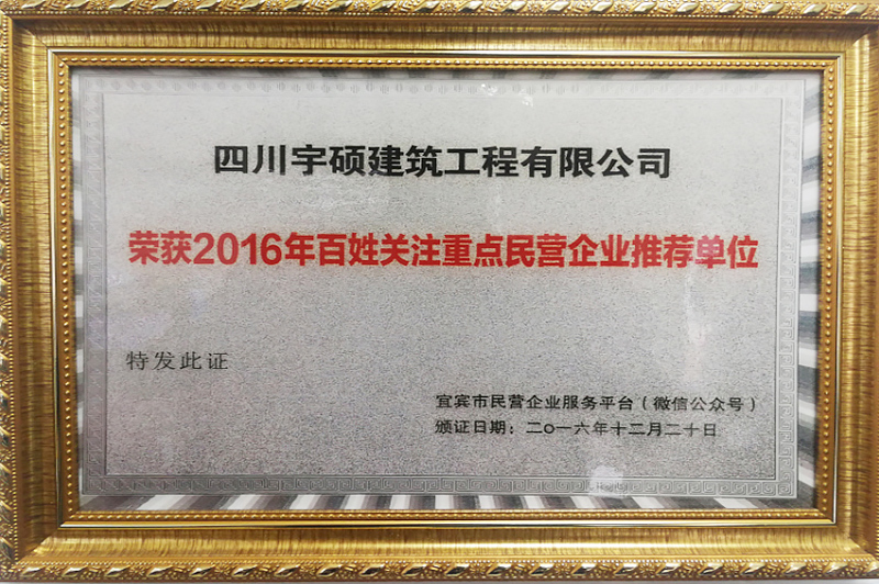 重点民营企业